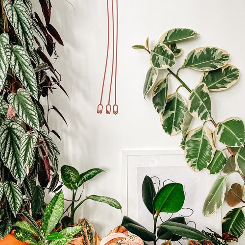 30 Pcs Green Pot Hook Planter Hangers Indoor Plants Hanging Flower Holder - Picture 7 of 12