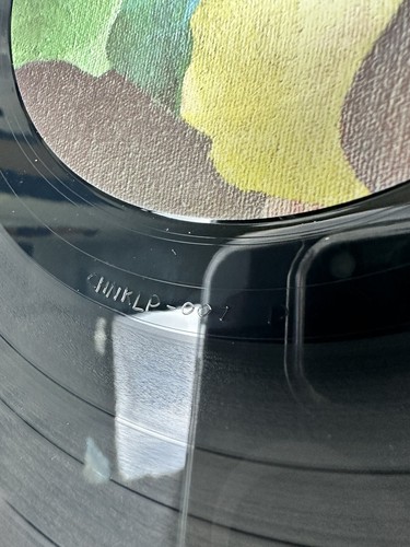 OLIVIA TREMOR CONTROL - "Black Foliage" Double LP Vinyl - EX - Picture 7 of 7
