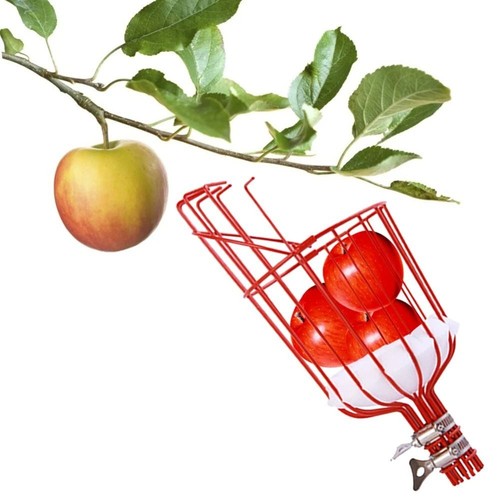 Apples Fruit Picker Lightweight Garden High Tree Catcher Tools Telescopic Steel - Picture 10 of 12