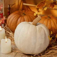 Spiced Pumpkin and Patchouli Type Fragrance Oil for candle/soap making