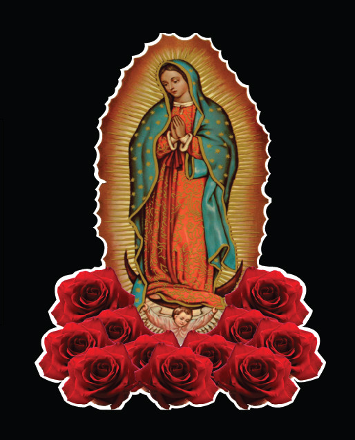 Imagen 1 de 2