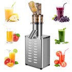 Juicer Cold Press Fruit Juice Extractor Apple Orange Vegetable Processor Machine