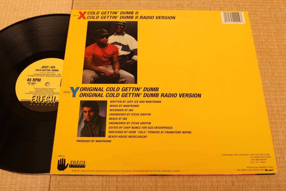 JUST ICE COLD GETTIN DUMB | eBay