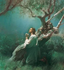 JESUS CHRIST 8.5X11 PHOTO PRAYING IN THE GARDEN OF GETHSEMANE FATHER SON POSTER