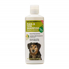 gnc medicated shampoo for dogs