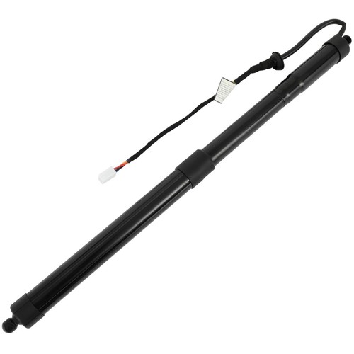 Rear Left+Right For 2019-2020 Toyota RAV4 Lift Supports 2Pcs 6892042020 D3303L - Picture 15 of 19