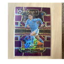 Panini Select Premier League 2023-24 Phil Foden Terrace Prizm #61