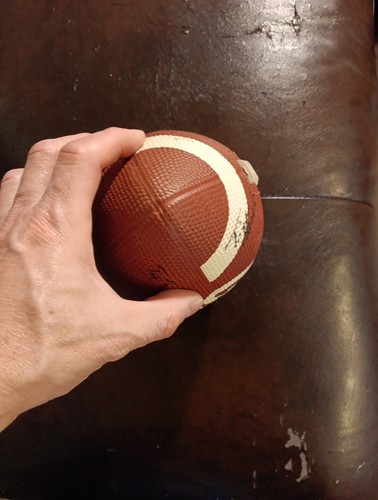 UNIVERSITY OF MONTANA GRIZ SIGNED SMALL FOOTBALL - Picture 11 of 12