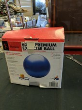 danskin exercise ball