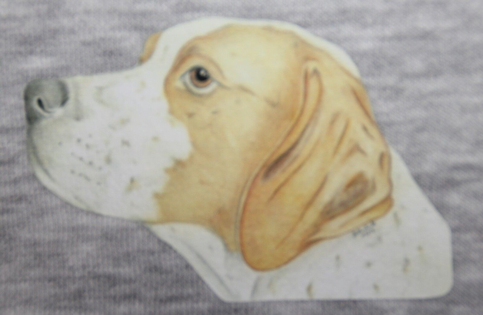 Picture 4 of 9