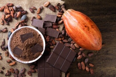 Raw Cocoa Powder 100% Original Chocolate Powder Bulk Arriba Nacional Bean 500g