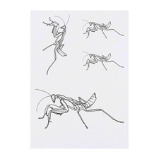 4 x 'Praying Mantis' Temporary Tattoos / Transfers TO00040181 