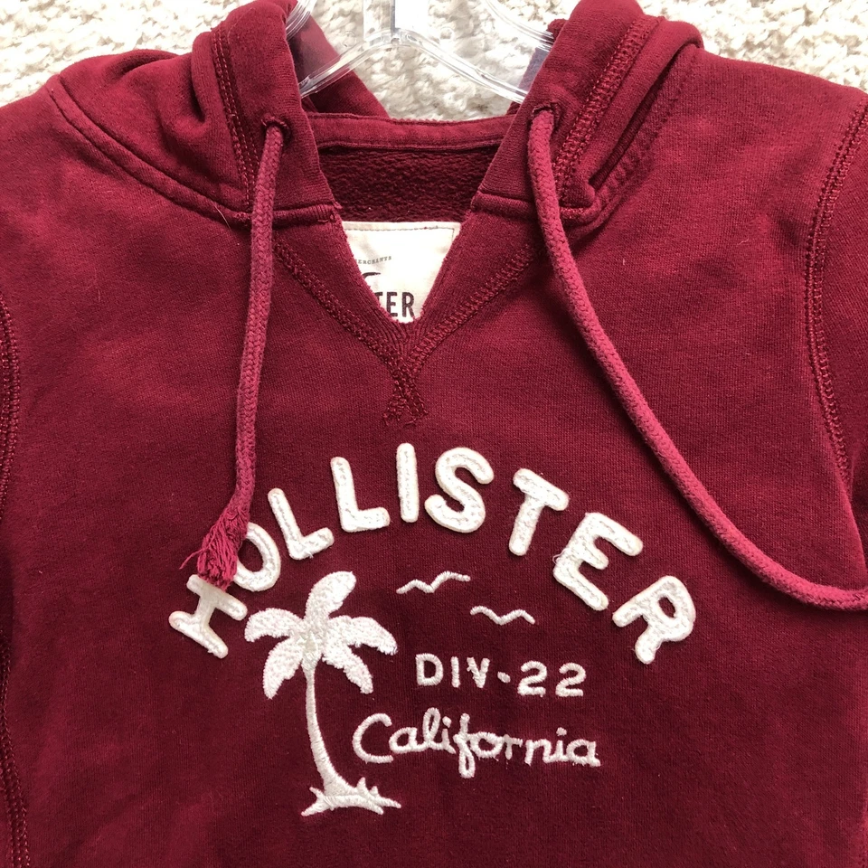Hollister Sudadera con Capucha Pequeña Adulto Rojo Gráfico Pullover Sudadera Informal Para Mujer S Foto 2 de 4