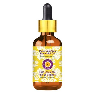 Deve Herbes Reines Kalmus Ätherisches Öl Acorus Calamus 15ml