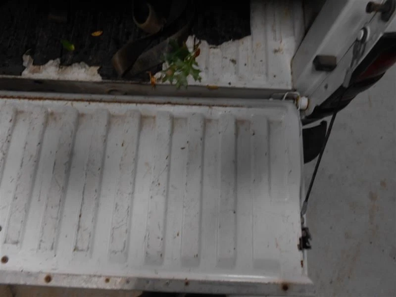 (LOCAL PICKUP ONLY) Trunk/Hatch/Tailgate Fits 95-02 DODGE 2500 PICKUP 893466 Foto 3 de 4