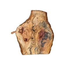 Pecan Wood Slab - Spalted Live Edge Woodworking Board - Approx. 13x11 In