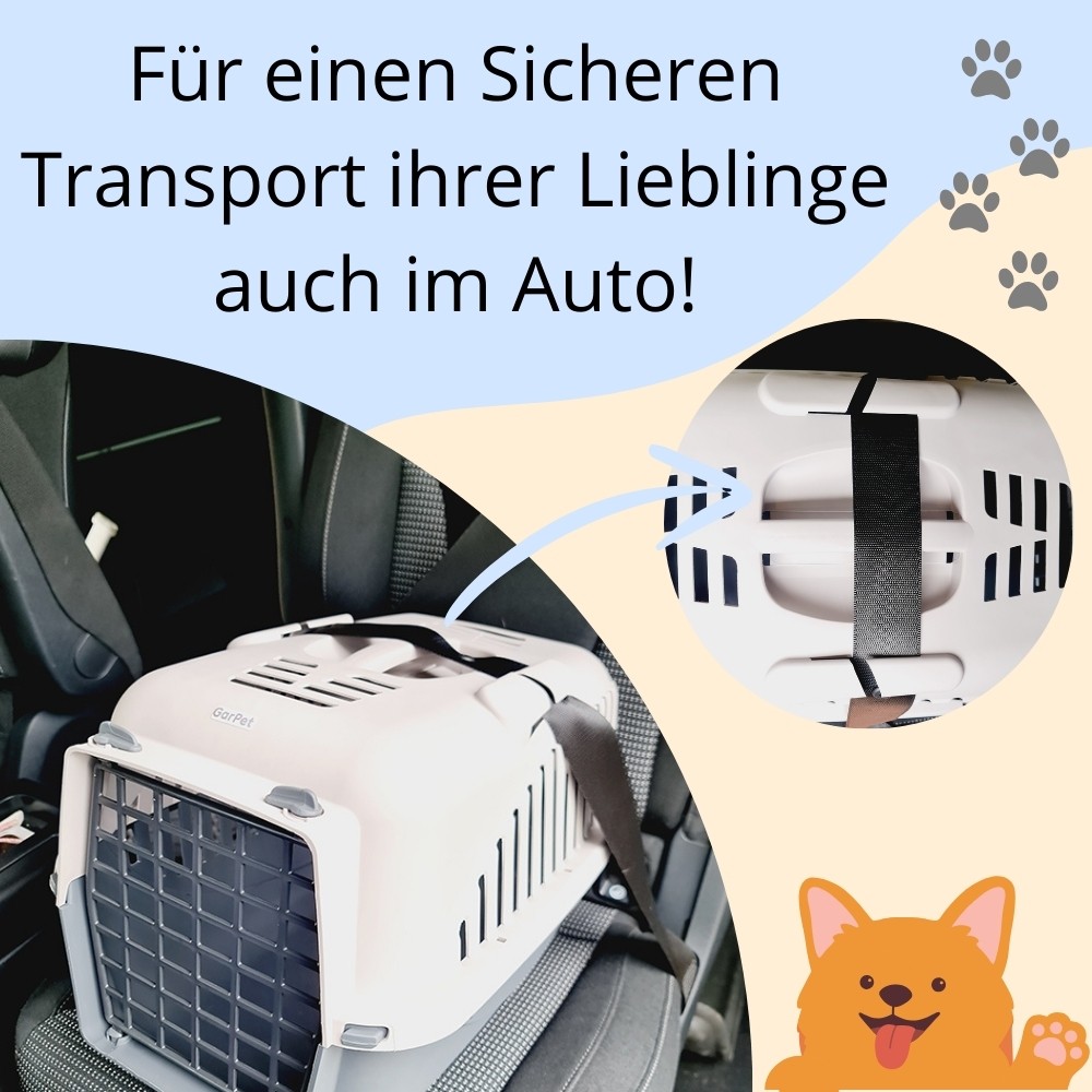 Bild 5 von 9