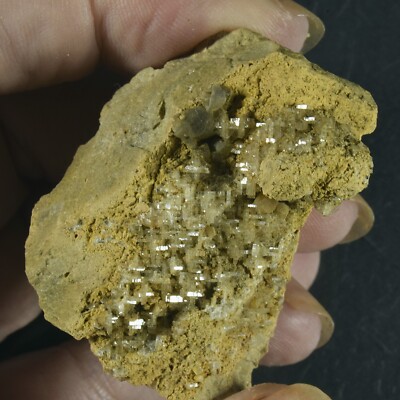 Reticulated FLUORITE  - Old Towns Quarry, Newton Aycliffe, Durham UK mineral