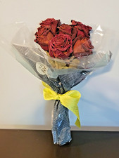 Real Air Dried 6 Small Stemmed Beige Roses Flowers Bouquet NEW PSJ