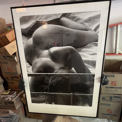 Christian Coigny Framed Print La Reveil Oem