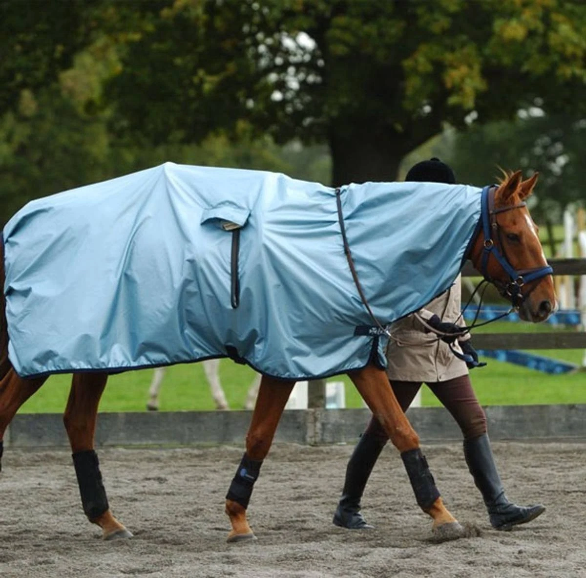 Best Exercise Sheets As Rated By Our Team Of Horse Owners And Riders