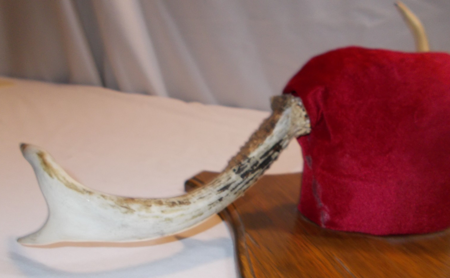 Vintage 1993 Michigan Deer Antlers Mount Plaque Cabin Decor Rustic Taxidermy