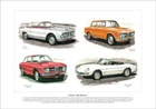 CLASSIC ALFA ROMEO  Fine Art Print - 2600 Duetto Spider Giulia Sprint GT & Super