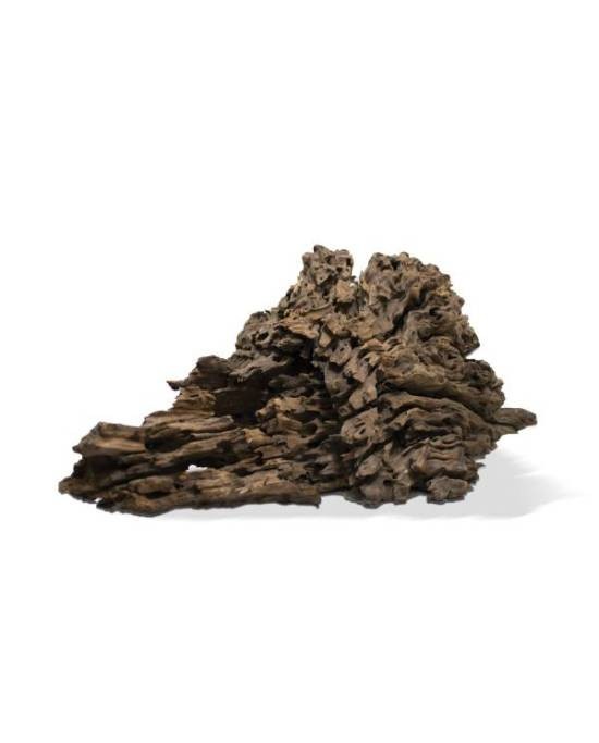 Racine Pookanature Aquavie 40-60 cm en bois naturel pour décor d'aquarium et aquascaping XL
