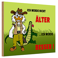 Holzschild Spruch 30X20Cm Werde Nicht äLter Werde Besser