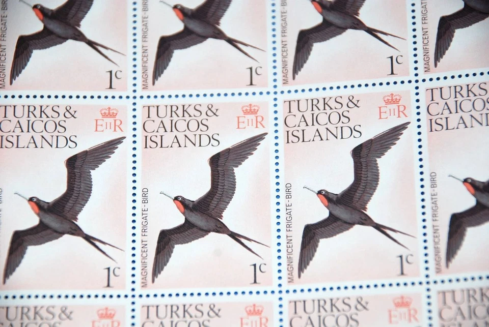 Turks & Caicos Islands MNH SC 266 Frigate BIRDS, Complete Sheet of 25 - Image 2 of 2