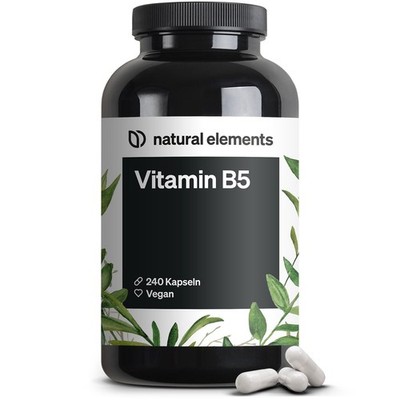 natural elements Vitamin B5   240 Kapseln - hochdosierte 500 mg Pantothensäure