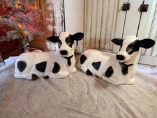 Blow Mold Cows Light Up Union Products New Nativity Black And White PAIR