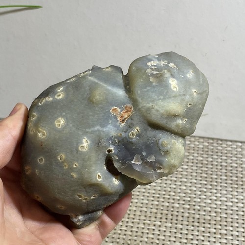 Bonsai Suiseki Naturale 663g - Pietra Occhi Agata Gobi Naturale - Raro Splendido - Foto 10 di 12