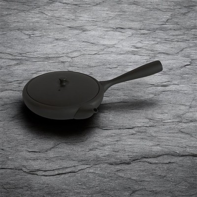 Kyusu Tokoname-Yaki Hira-kyusu high-end original-box