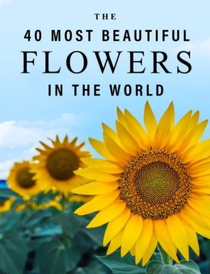 The 40 Most Beautiful Flowers in the World: A full color picture book for Senior