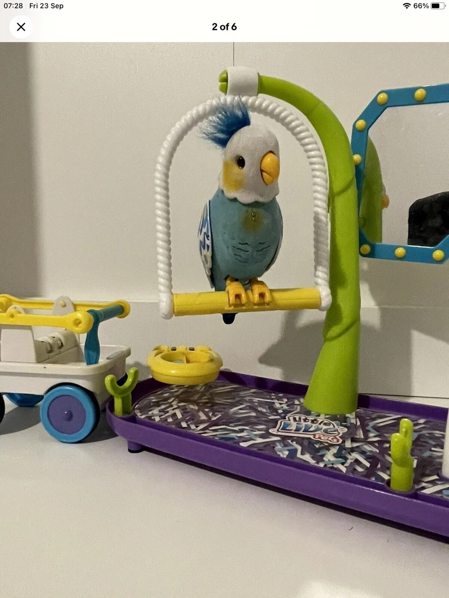 Little live pets bird clearance cleverkeet