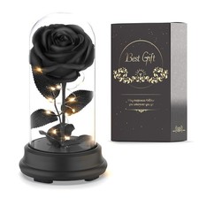 Deluxsa Forever Preserved Black Rose Birthday Gifts for Women,Eternal Flower Gif