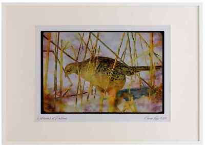 352031 Ringhals Henne Fasan Aquarell Bilderrahmen limitierte Auflage A3