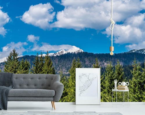 Fond décran mural 3D Forest 2024 Clouds ZHUB2470 amovible auto-adhésif Amy