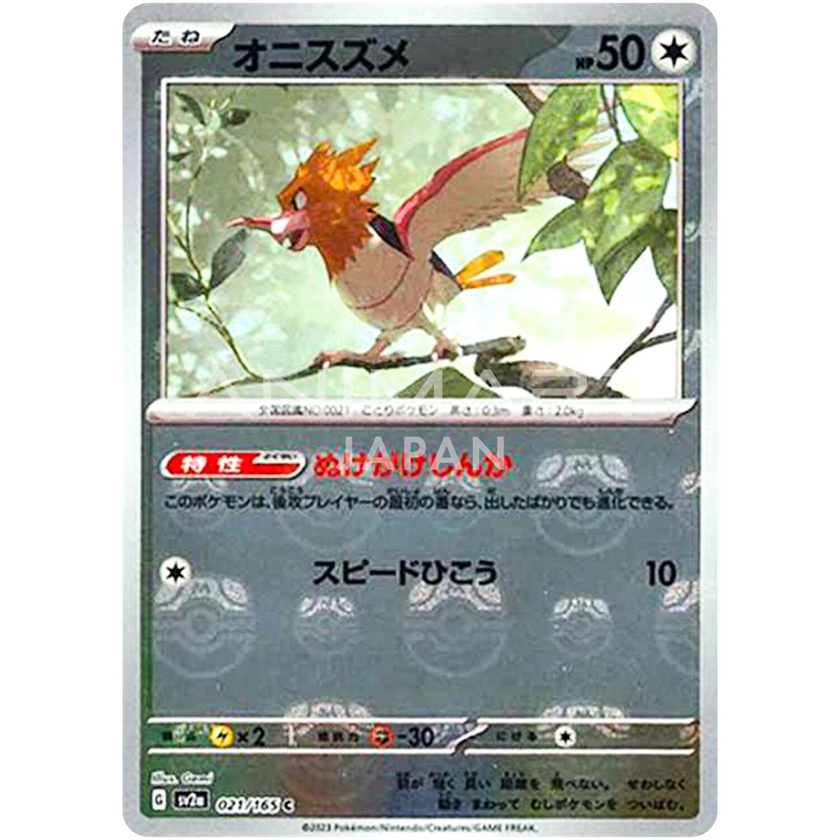賢狼ホロ　sp psa10 PSA 10 Gem Mint Wailord EX 071/070 Tidal Storm FA 1ED 2014