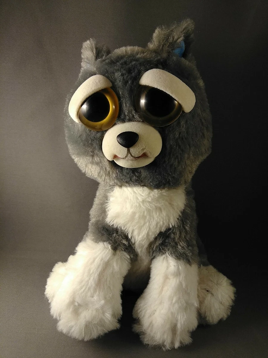 Feisty clearance pets husky