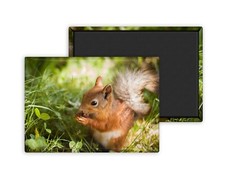 Ecureuil 1-Magnet Personnalisé 54x78mm Photo Frigo
