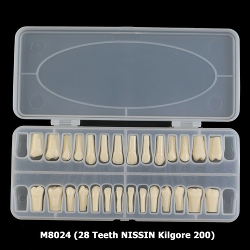 Dental Replacement 28 32 Teeth Typodont Model NISSIN Kilgore Columbia Frasaco - Picture 3 of 78