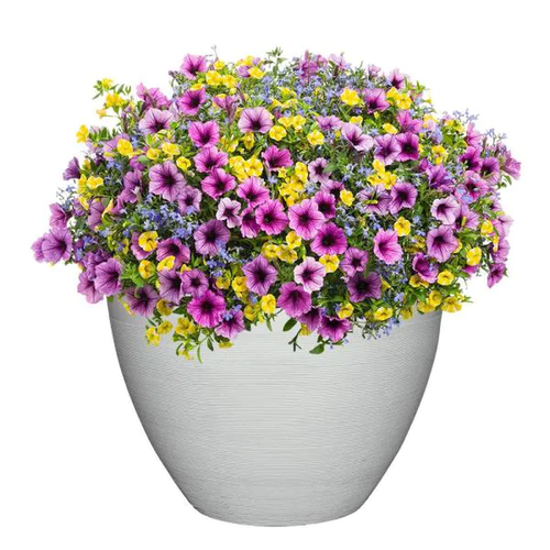 Decatur 22 In. Blanc De Blanc Resin Planter Pot | eBay