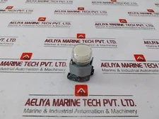 EAO 704.950.0 Illuminated Push Button Switch 250V/2,4W