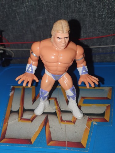 WWE/WWF Hasbro Wrestling Figure Lex Luger, series ...