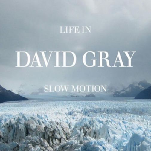 David Gray Life in Slow Motion (CD) Album