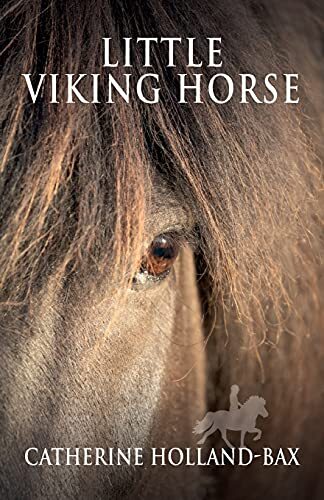 Little Viking Horse By Catherine Holland-Bax