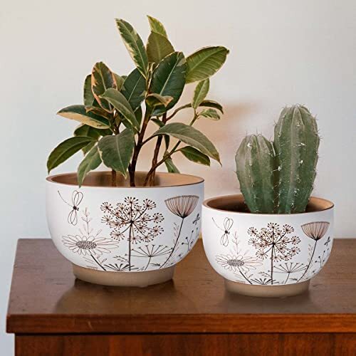 YBX 8 Inch + 6 Inch White&Terracotta Flower Pots, Succulent Ceramic