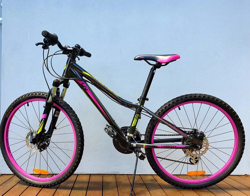 gumtree 24 inch bike